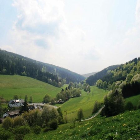 Large Holiday Home In Willingen With Private Garden And Several Terraces Exteriör bild