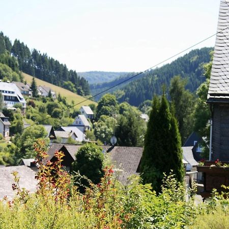 Large Holiday Home In Willingen With Private Garden And Several Terraces Exteriör bild