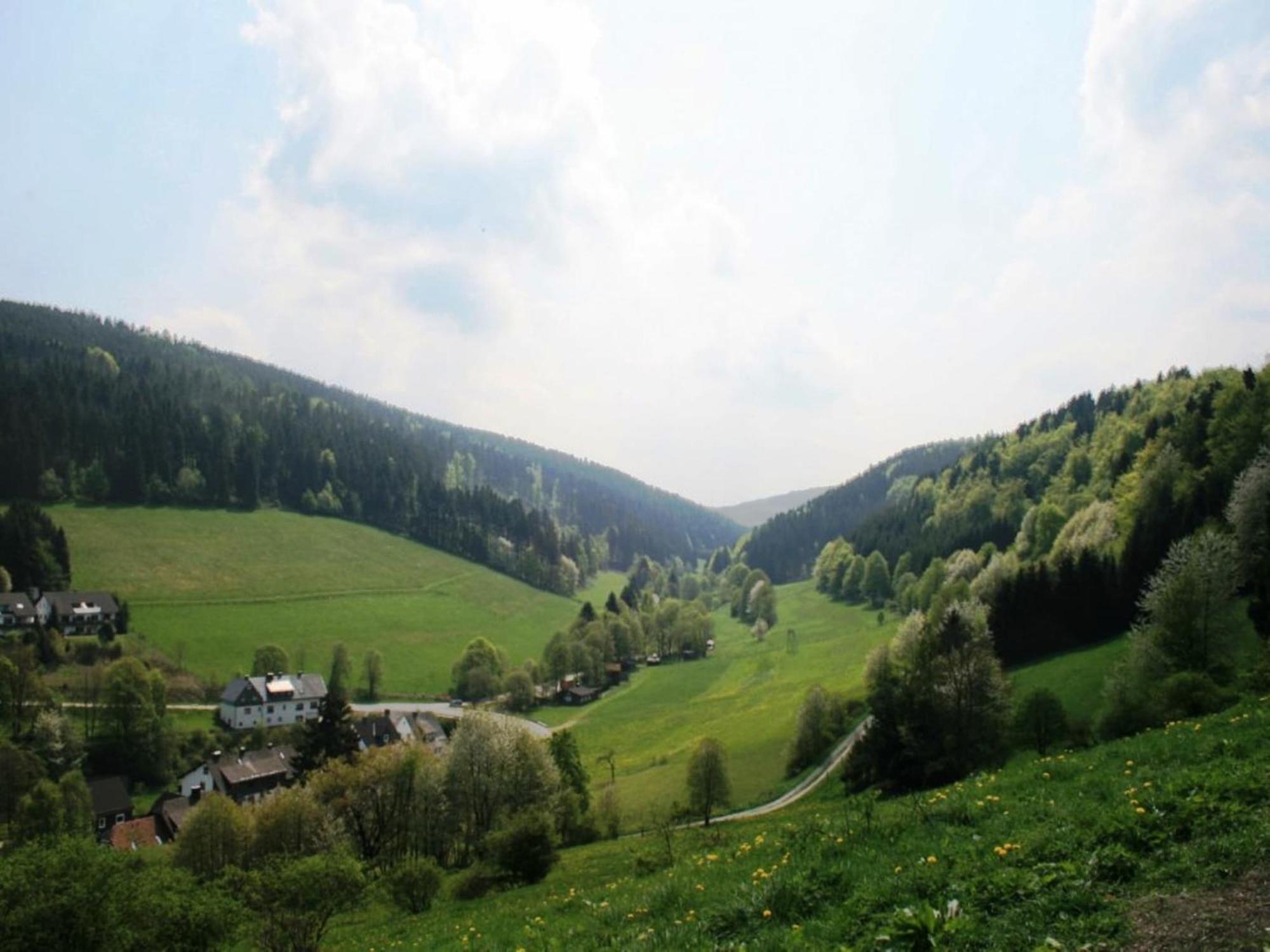 Large Holiday Home In Willingen With Private Garden And Several Terraces Exteriör bild