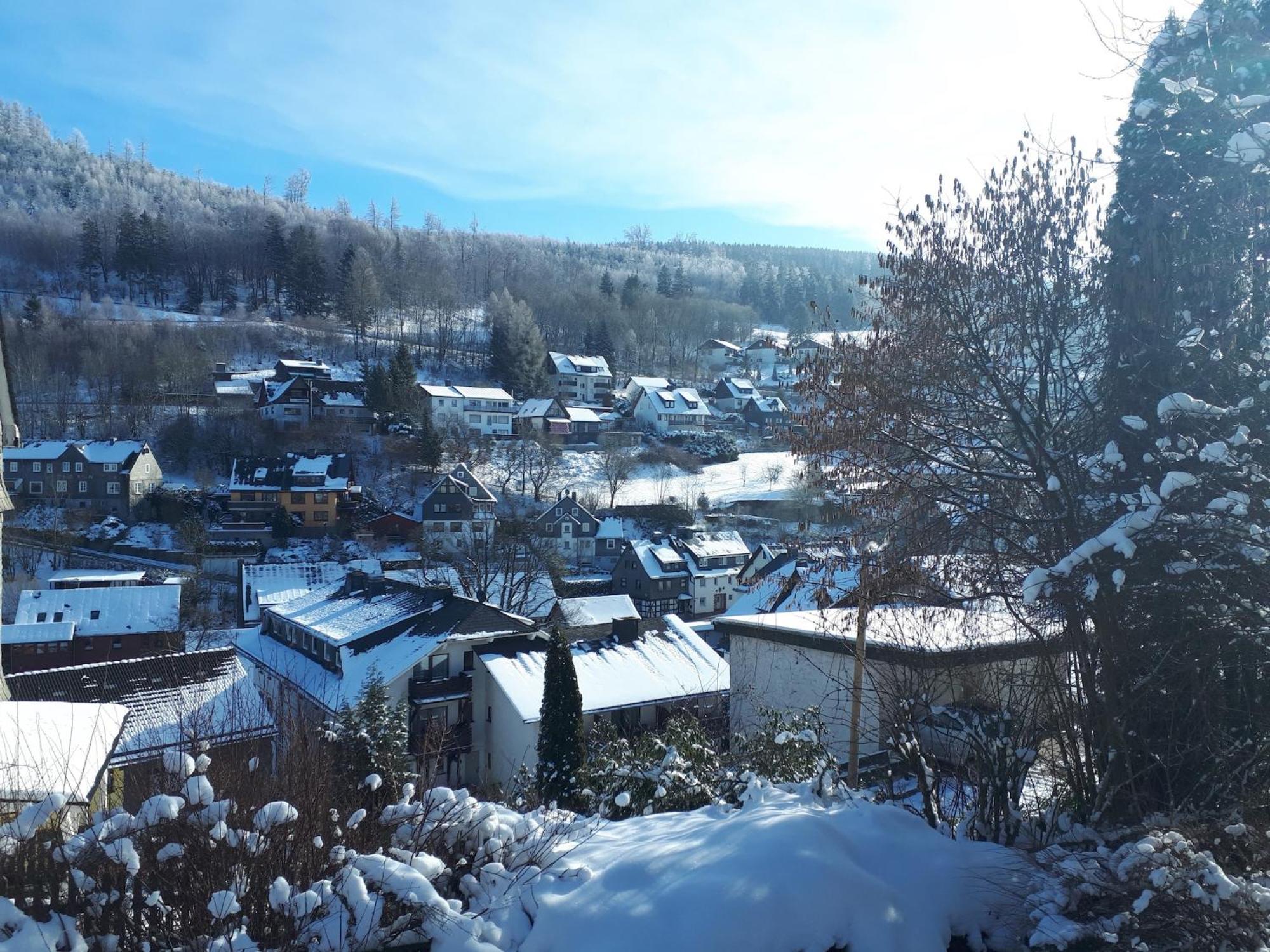 Large Holiday Home In Willingen With Private Garden And Several Terraces Exteriör bild