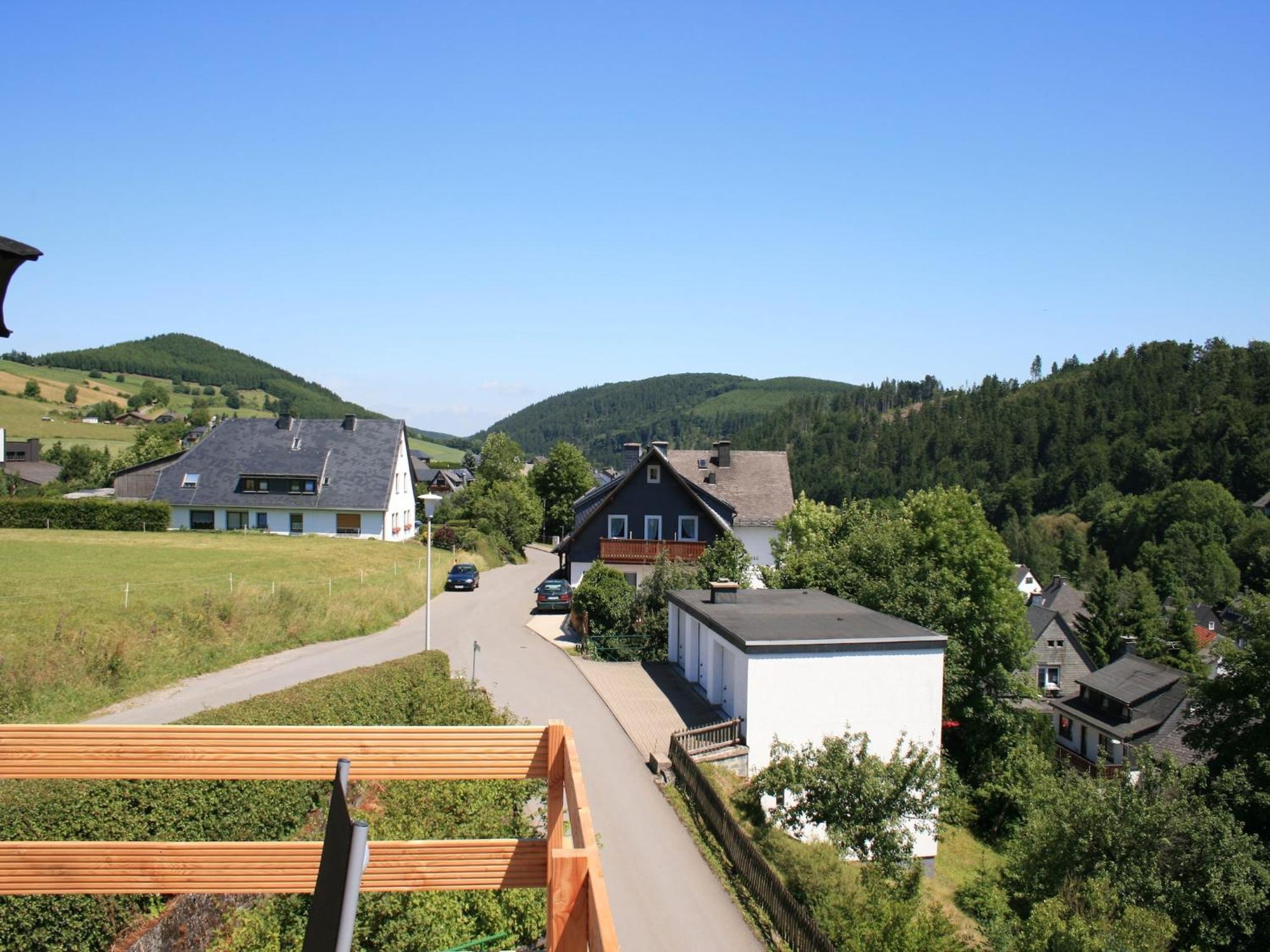 Large Holiday Home In Willingen With Private Garden And Several Terraces Exteriör bild