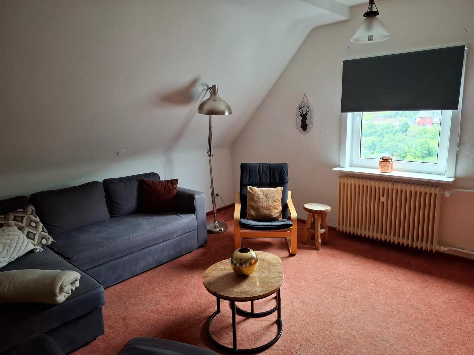 Large Holiday Home In Willingen With Private Garden And Several Terraces Exteriör bild
